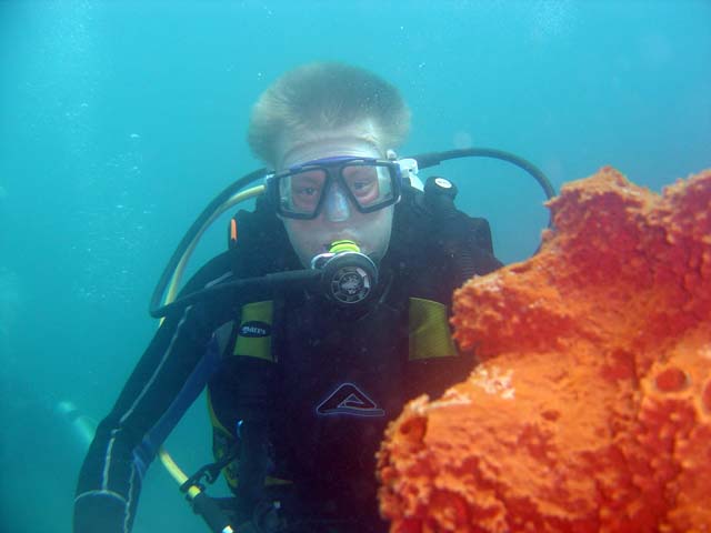 DSC03294a