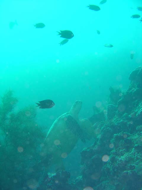 DSC03312