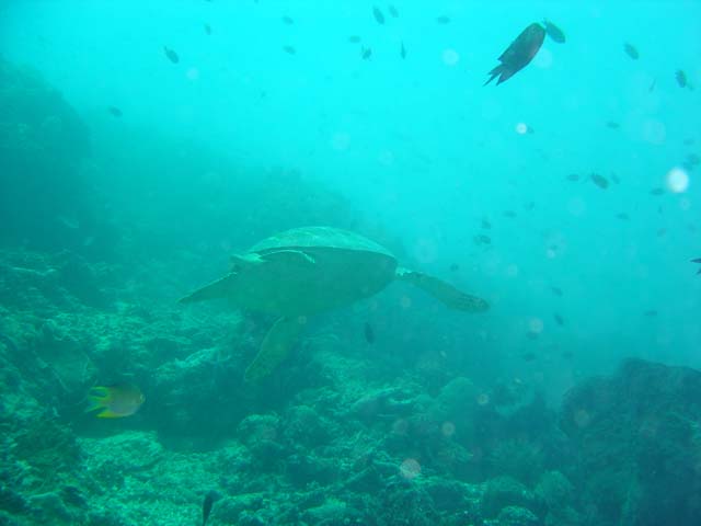 DSC03314