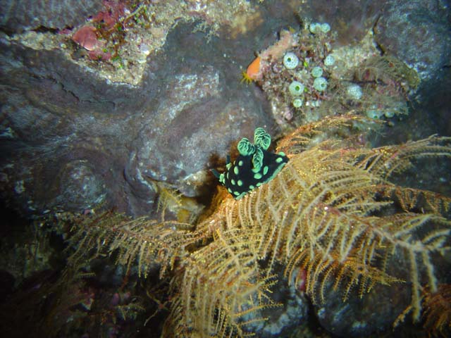 DSC03347