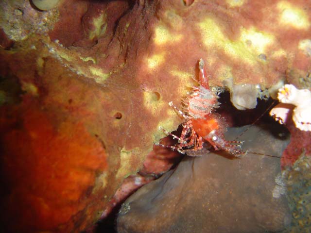 DSC03361