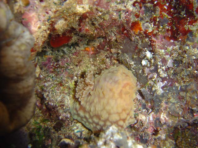 DSC03365