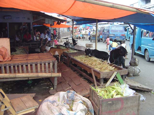 DSC03379