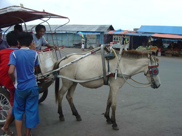 DSC03380
