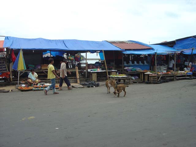 DSC03381