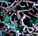DSC02645a