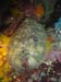 DSC02778