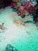 DSC03143a