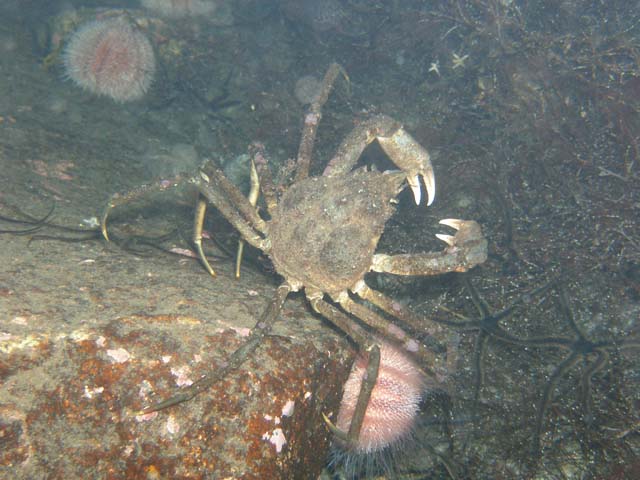 PB192780