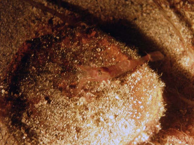 PB192805