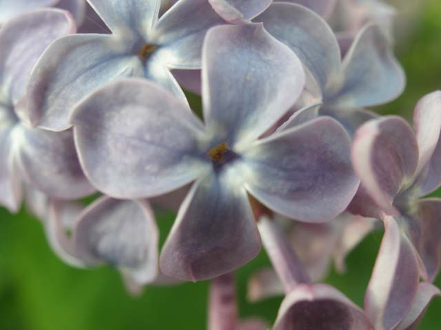 P6220353