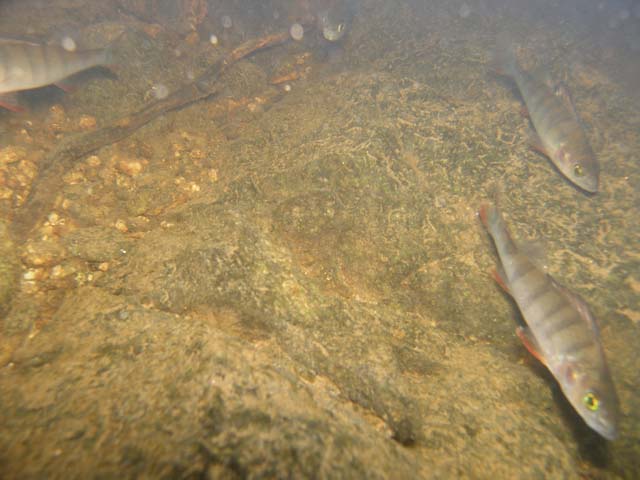 P7060612