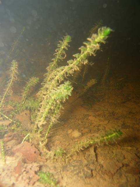 P7060653