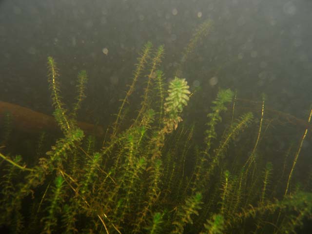 P7060663