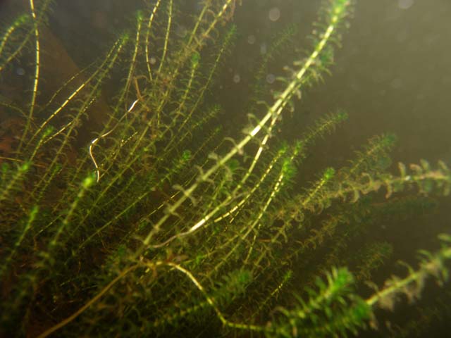 P7060665