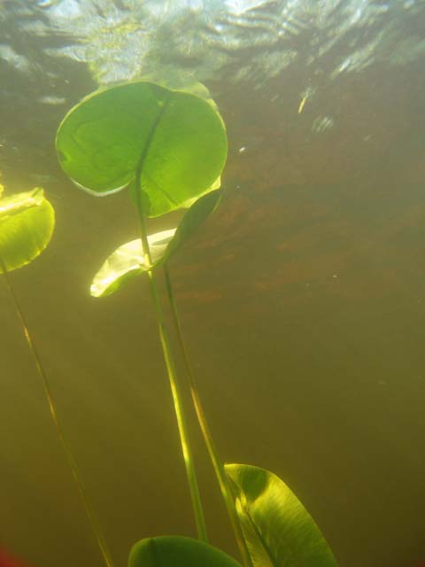 P7060670