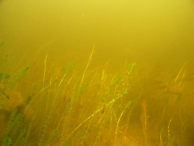 P7060677