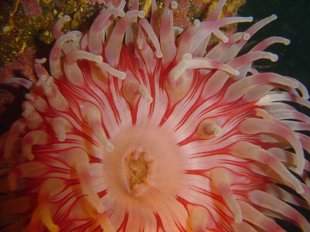 DSC03461