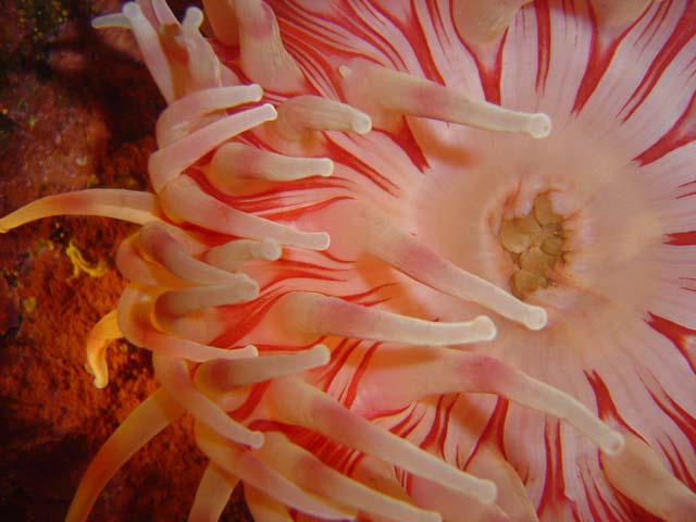 DSC03462