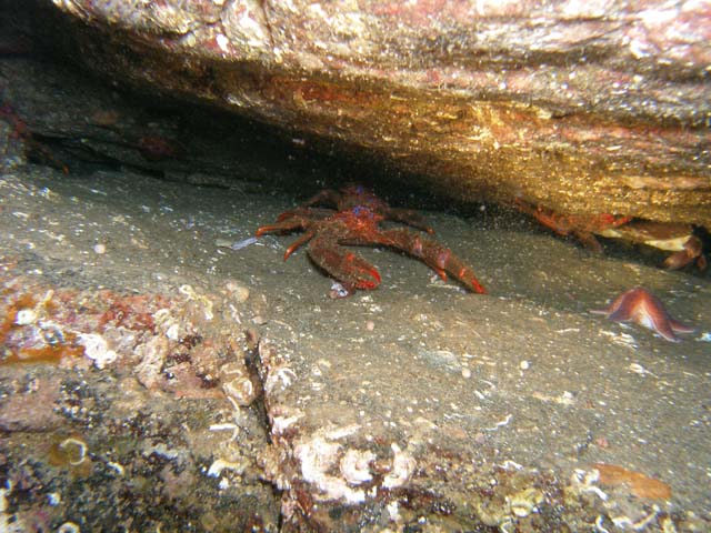 PB032135