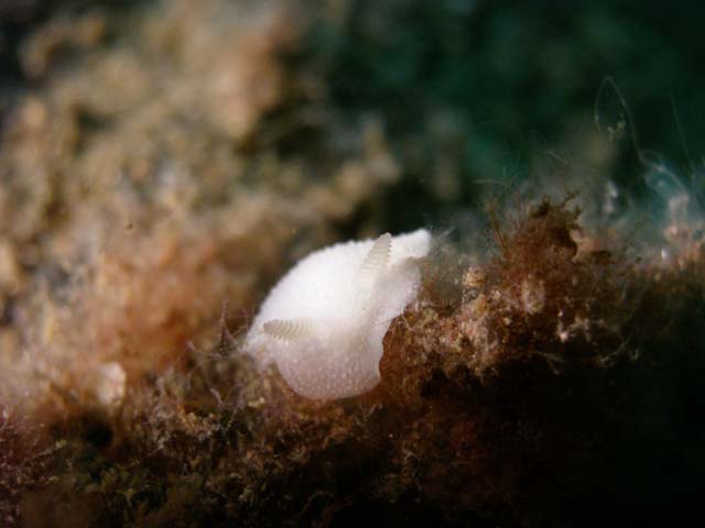 PB042312