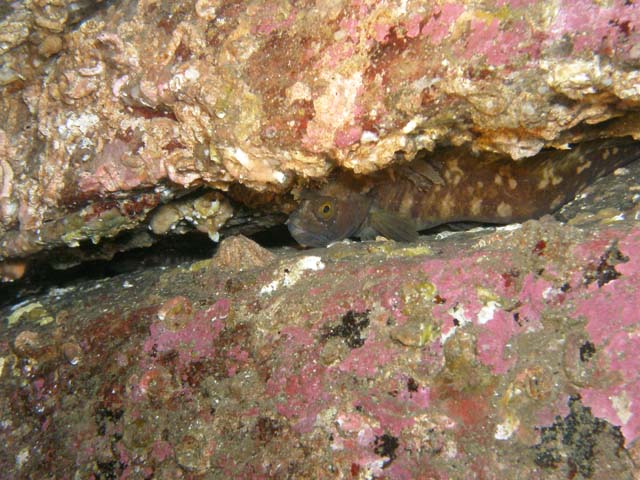 PB042351