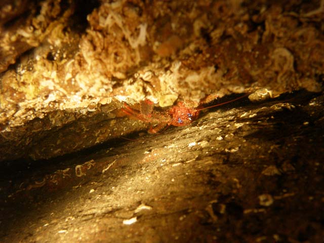 PB042359