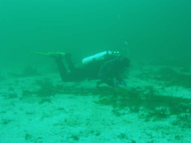 PB042398