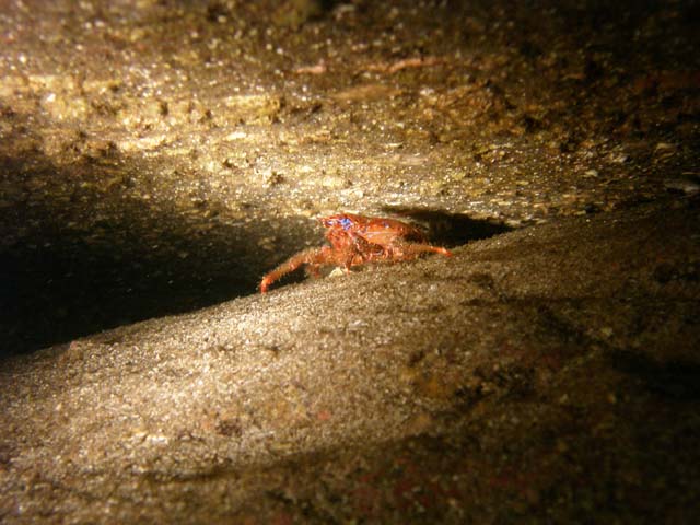 PB042419