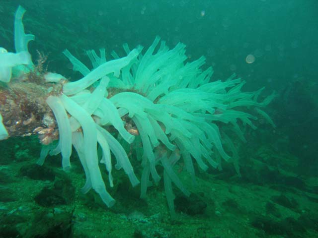 PB052483