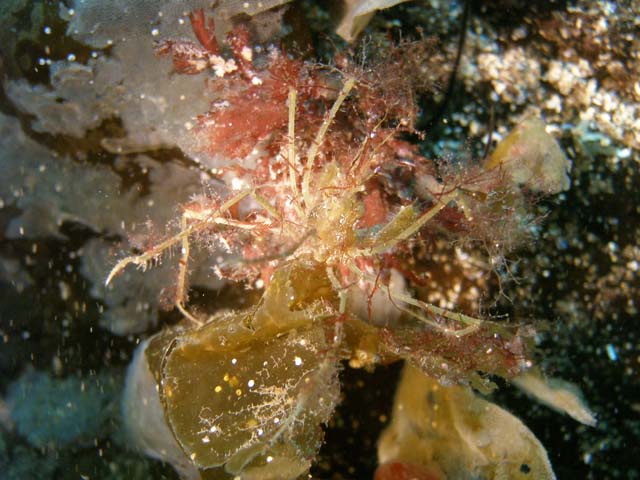 PB052520