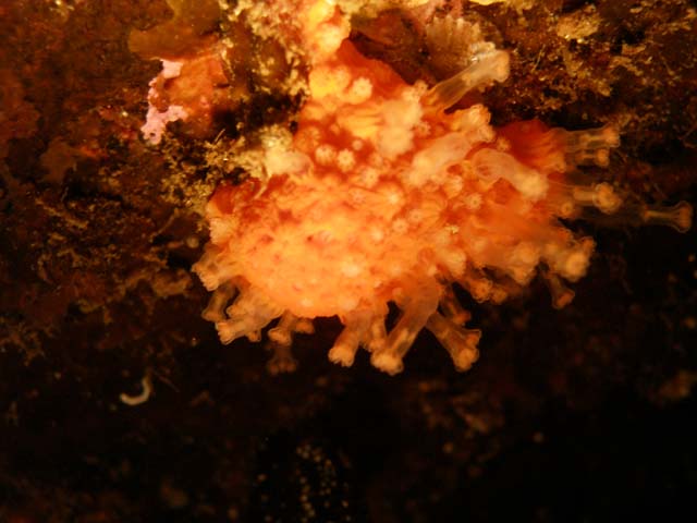 PB052552
