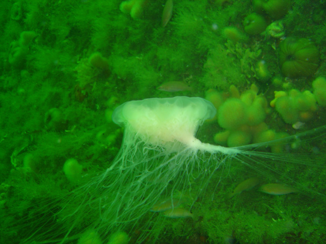 DSC01813