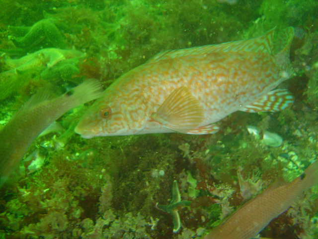 DSC01829