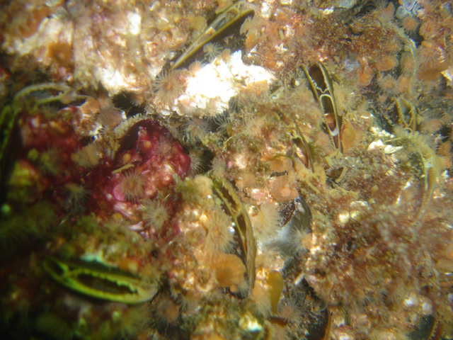 DSC01849
